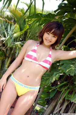 王子枫和袁雯洁免费阅读
